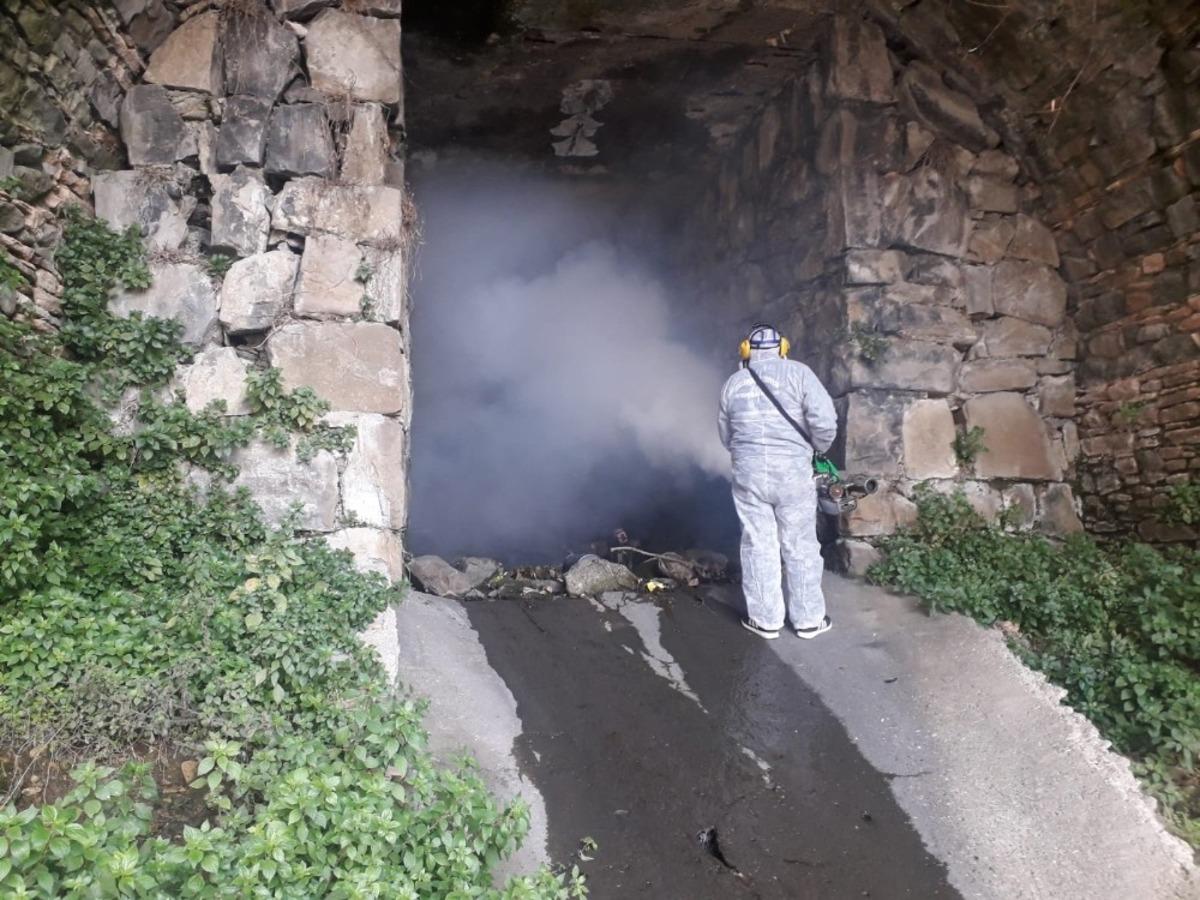 Kdz. Ereğli&rsquo;de bahar &ouml;nce sivrisineklerle m&uuml;cadele başladı