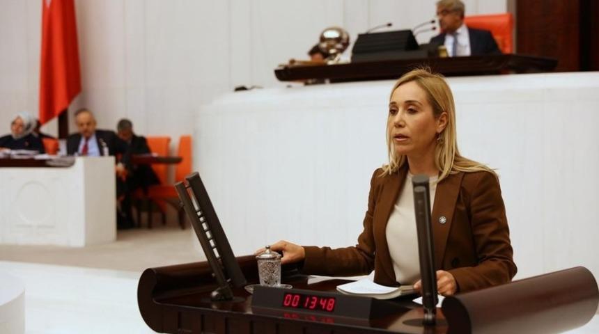 İYİ Partiden istifa eden milletvekili &Ccedil;okal: "Partide hiyerarşik nezaket yok sayıldı"