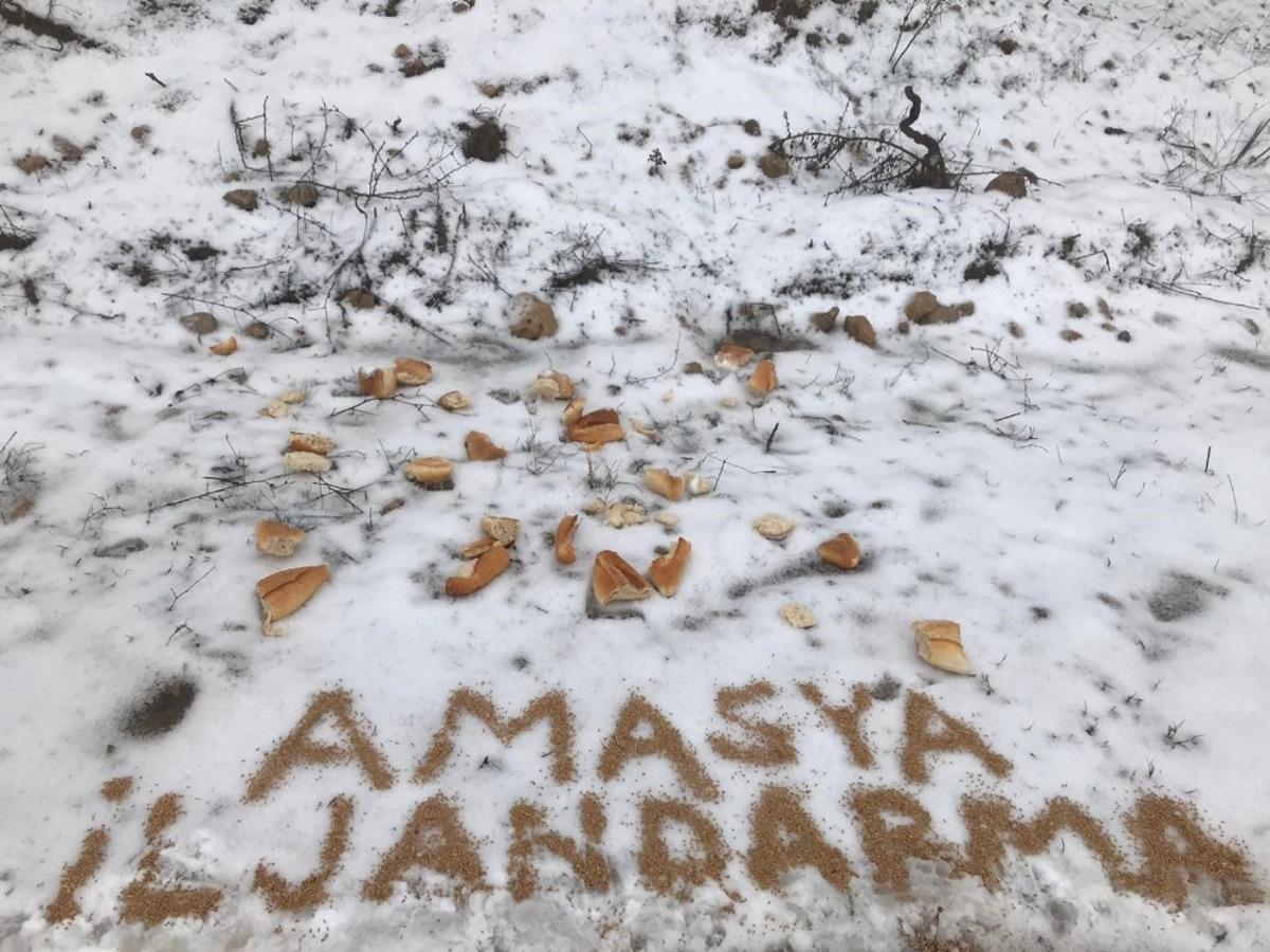 Yaban hayvanları i&ccedil;in doğaya yiyecek bırakıldı