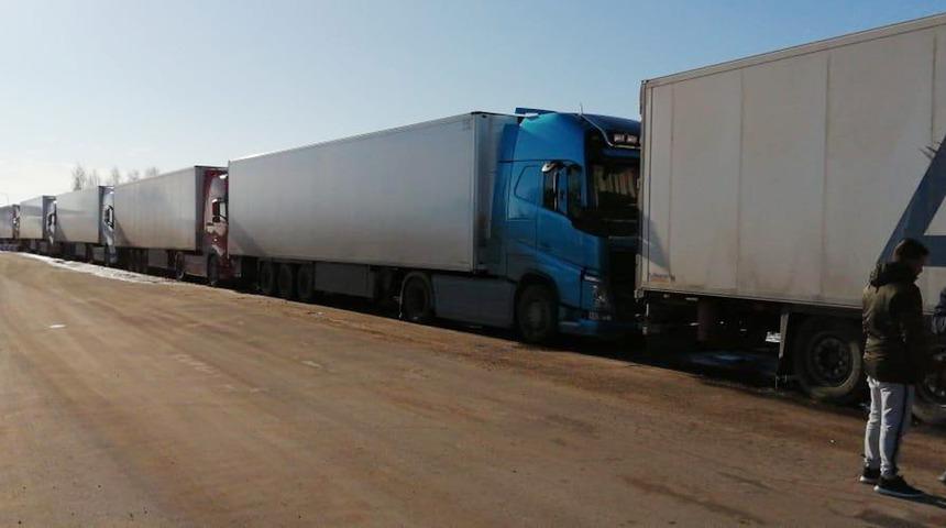 Rusya sınırında bekleyen TIR'lardaki 5 bin ton domates çöpe gidecek