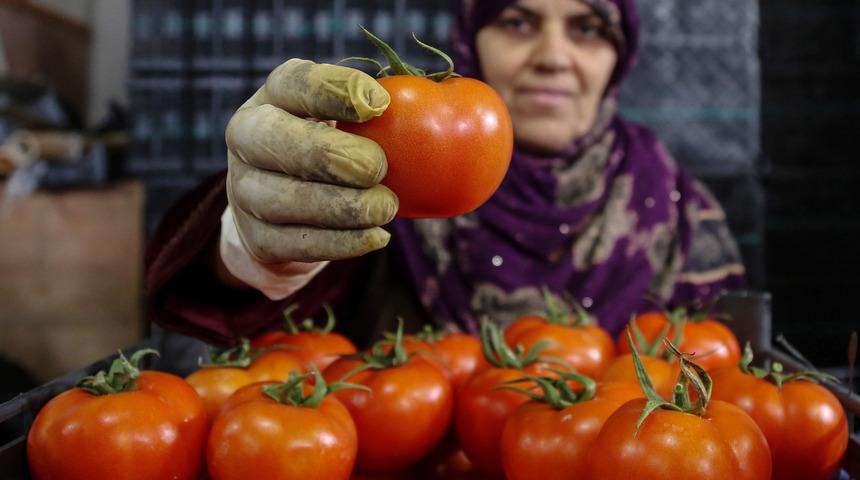 Domates fiyat endeksi geçen yılın Ağustos ayına göre yüzde 75.93 arttı