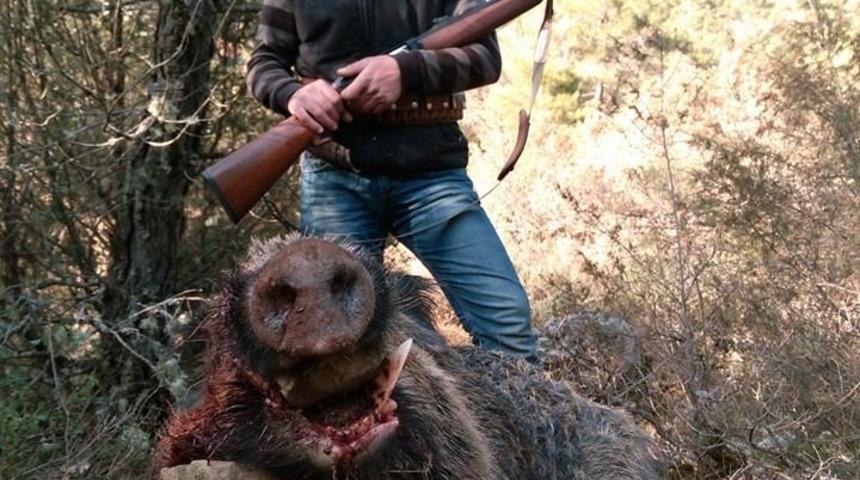 Lapsekili avcılar sezonun son sürek avını yaptı