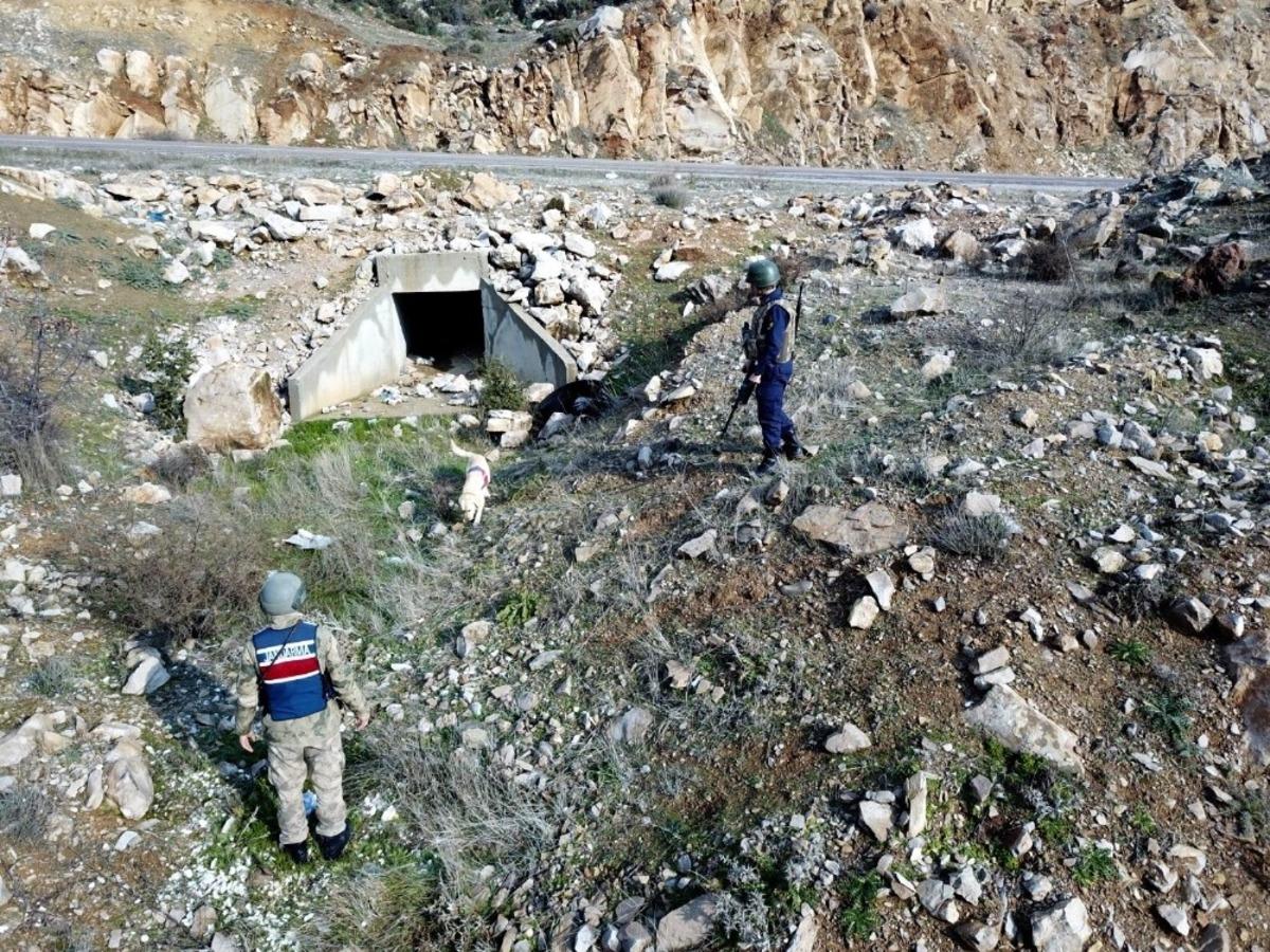 Akıllı k&ouml;pekler jandarmanın g&ouml;z&uuml; kulağı oluyor