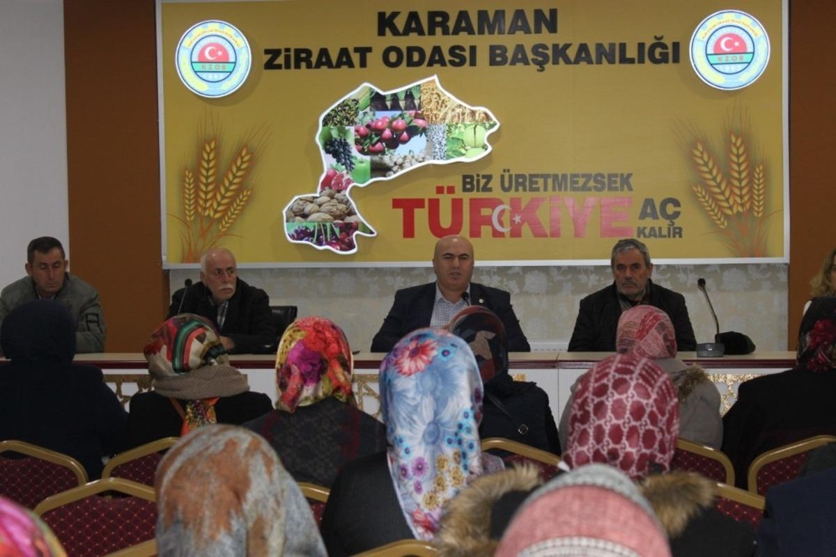 Karaman&rsquo;da hasarları &ouml;nlemek i&ccedil;in elmaları sertifikalı iş&ccedil;iler toplayacak