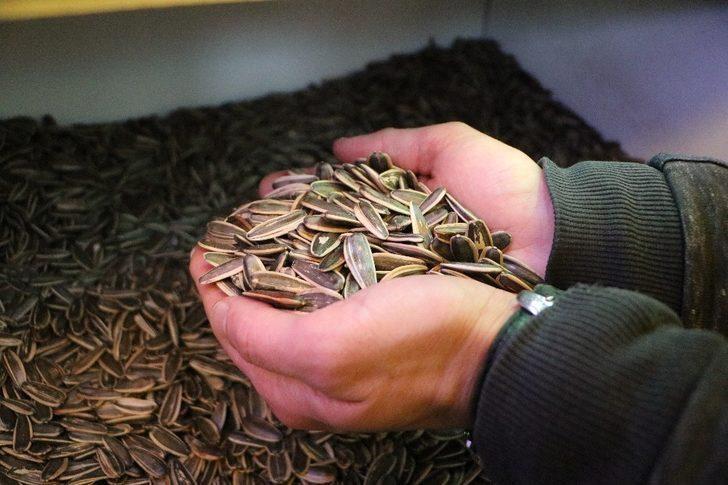 (Özel) Kayseri’de çekirdeğe ’Korona virüs’ darbesi G3