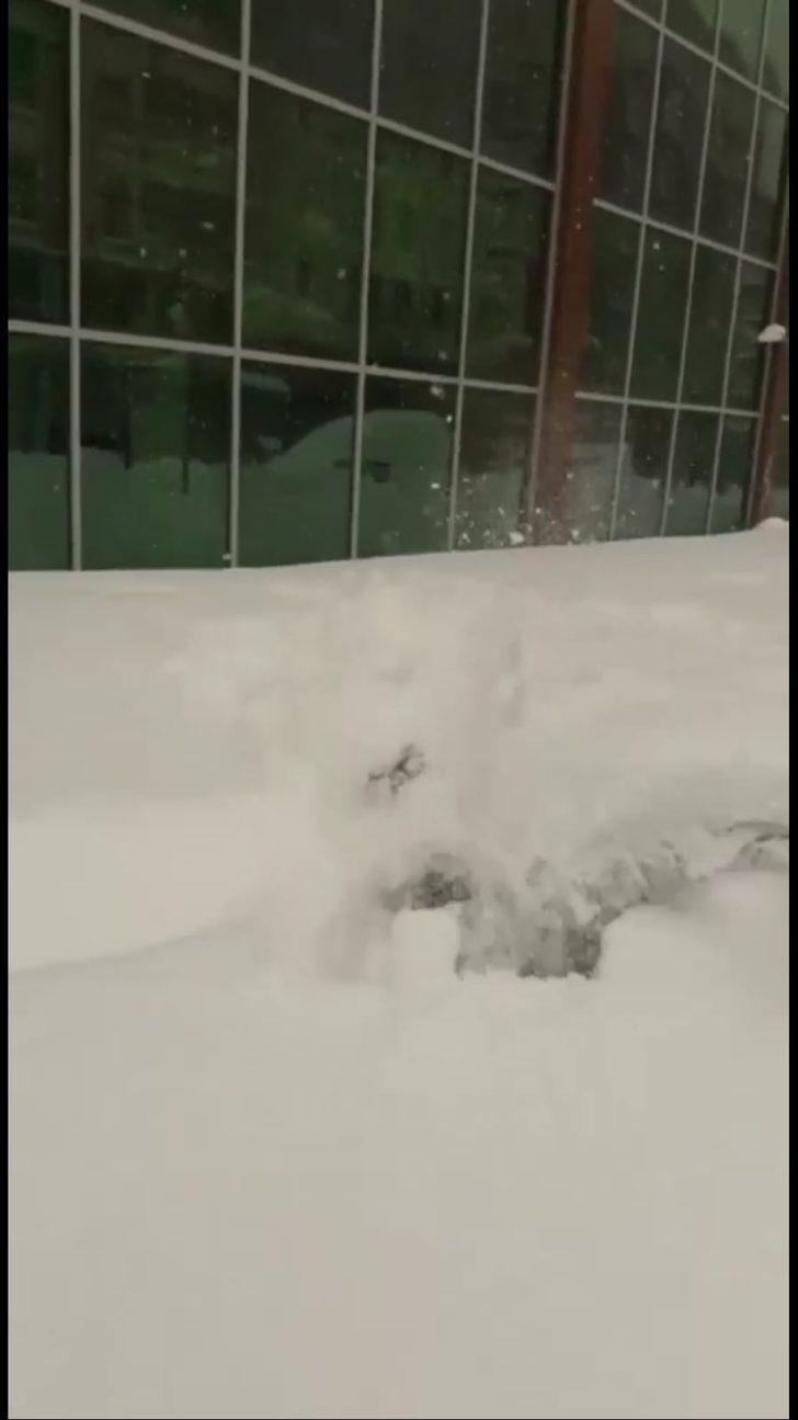 Karda yüzüyorlar! İşte sosyal medyanın yeni trendi G2