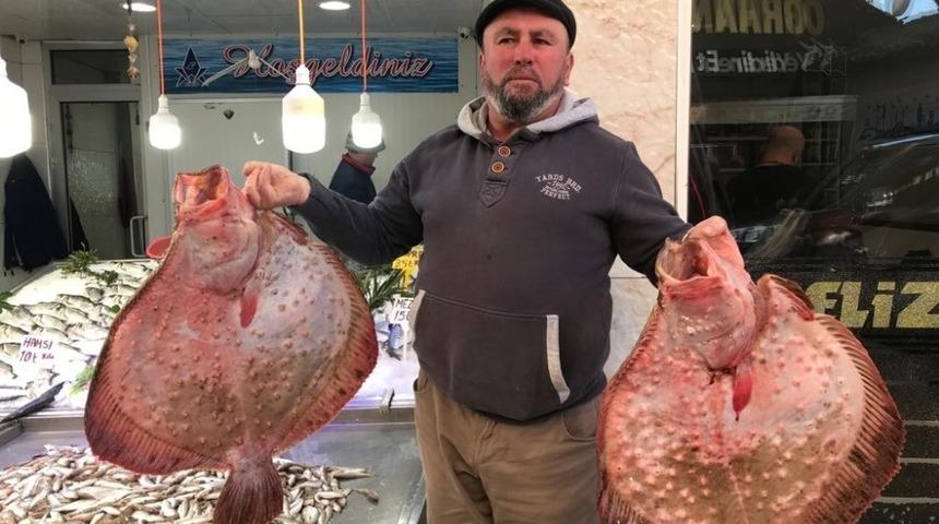 Balık&ccedil;ıların y&uuml;z&uuml; kalkan balıklarıyla g&uuml;ld&uuml;