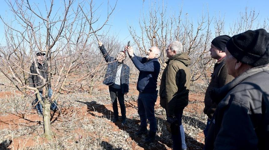 Budama eğitimini teoriden pratiğe d&ouml;kt&uuml;ler