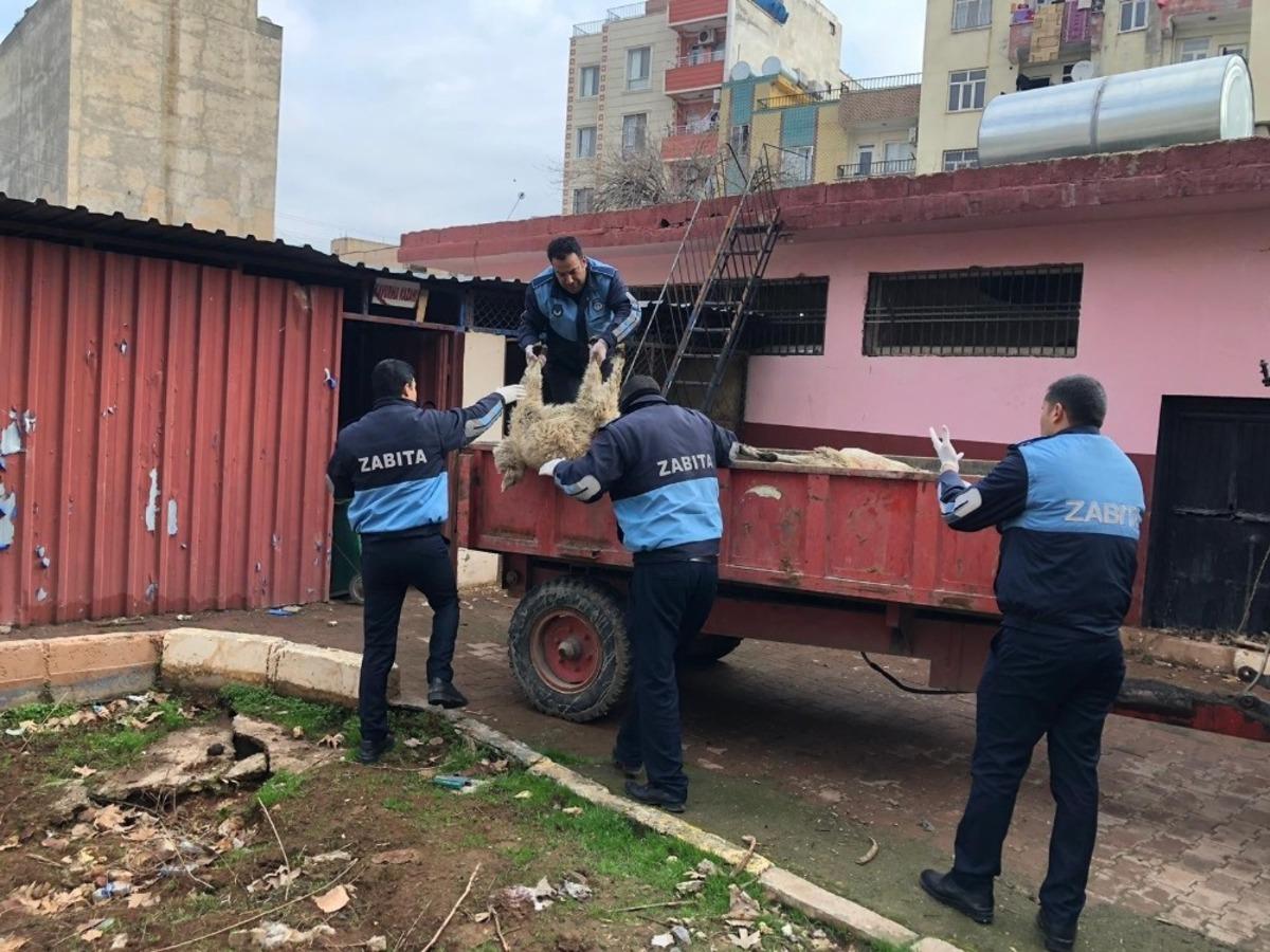 Viranşehir&rsquo;de sağlık tacirlerine operasyon