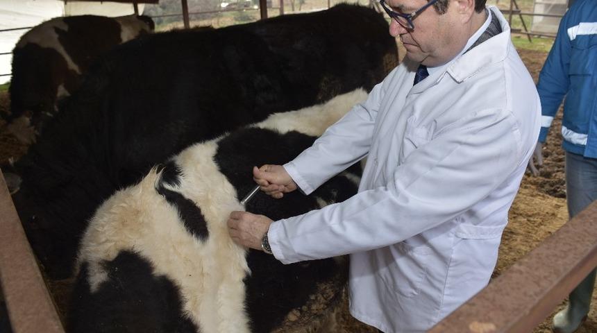 Menteşe’de 2020 aşılama kampanyası başlatıldı