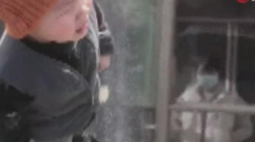 Koronavirüs anne ile oğlunu ayırdı