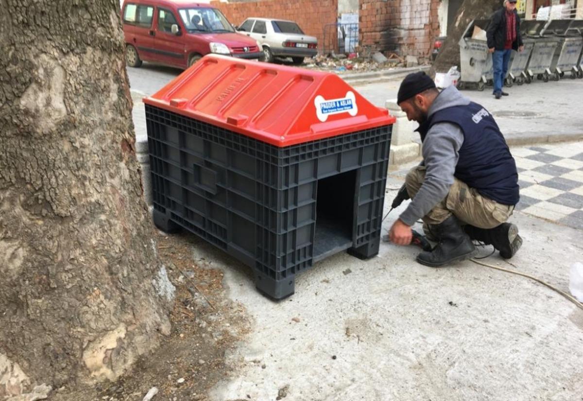 Marmara&rsquo;da &rsquo;minik dostlara&rsquo; yuva