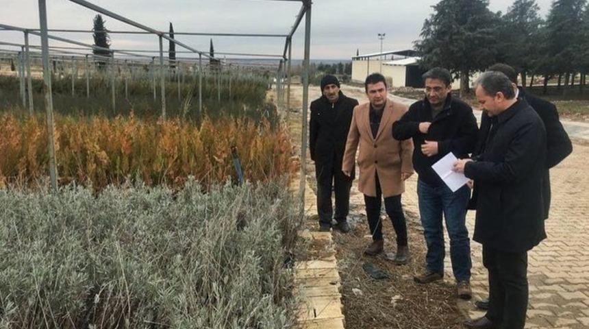 Adıyaman Belediyesinden, &rsquo;Yeşil Adıyaman&rsquo; projesi