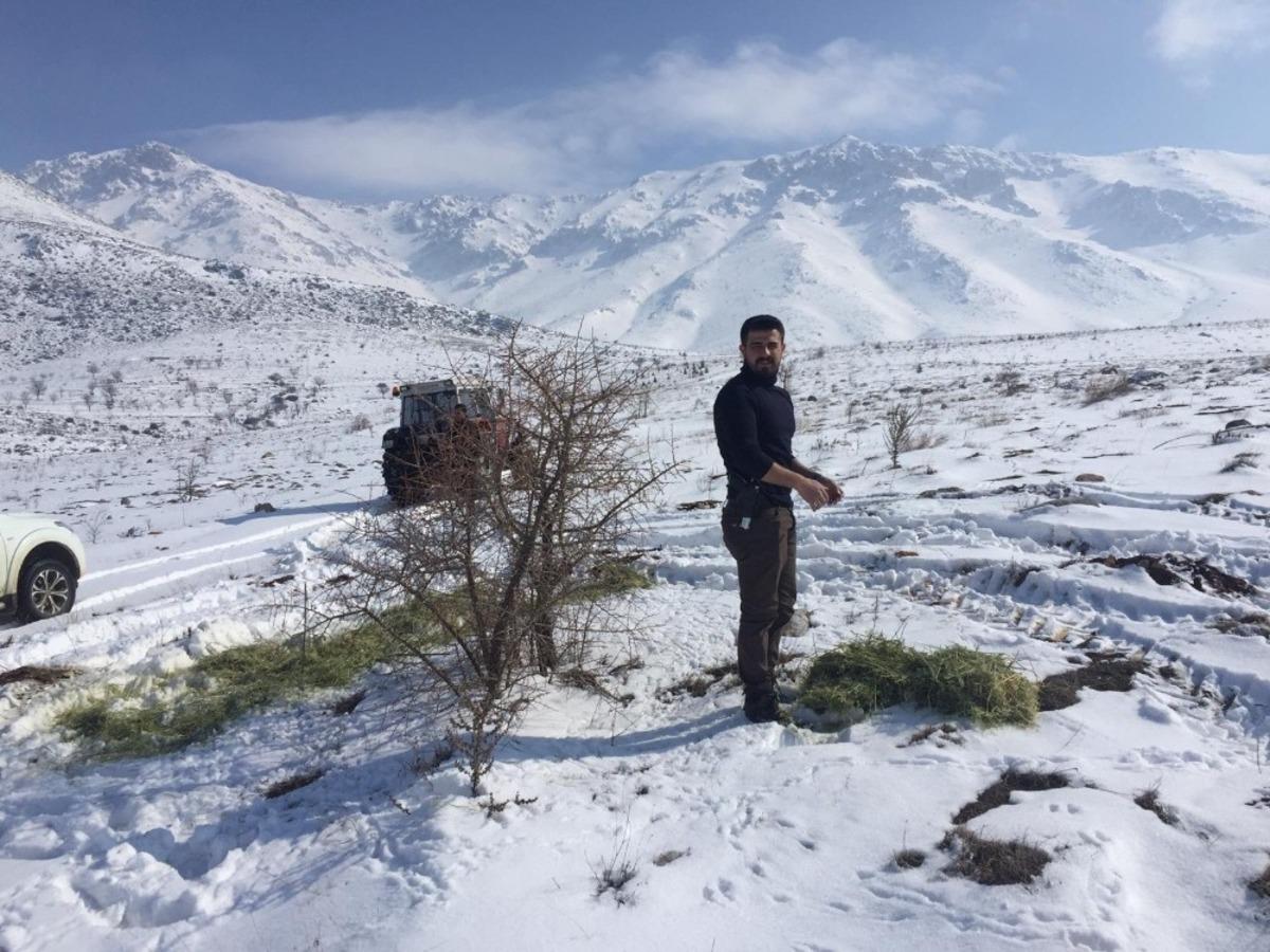 Yaban hayvanları i&ccedil;in doğaya bir ton yem bırakıldı