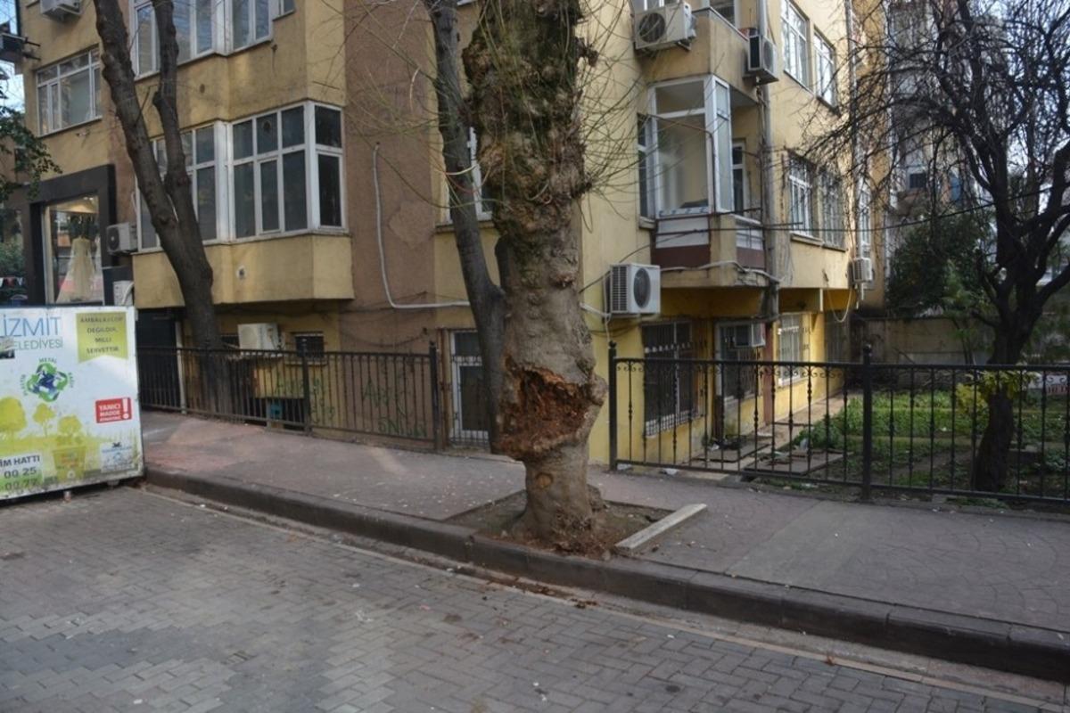 Devrilme riski taşıyan ağa&ccedil; kesildi