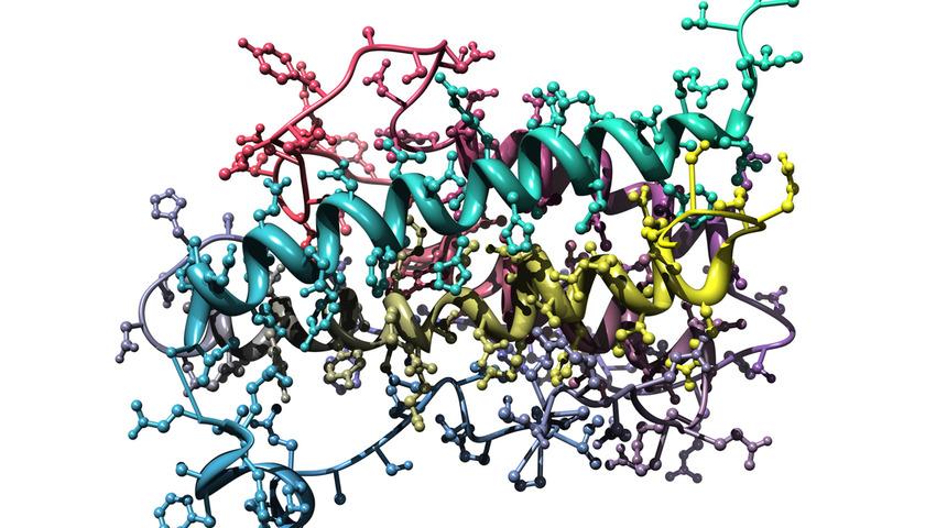 Akromegali nedir? Akromegali tedavisi mümkün mü?