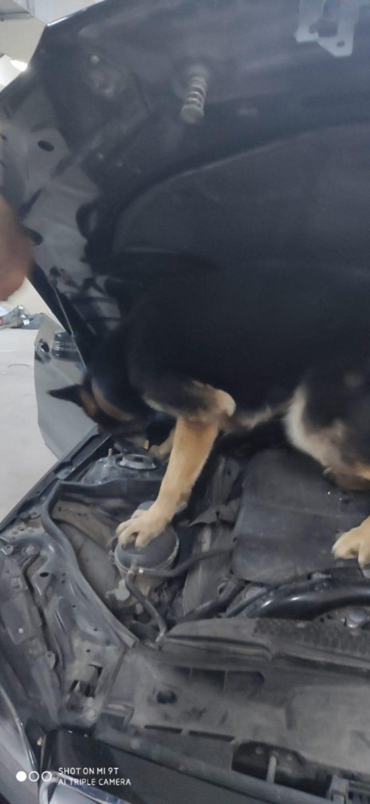 Aküde1 kilo uyuşturucu bulundu G2