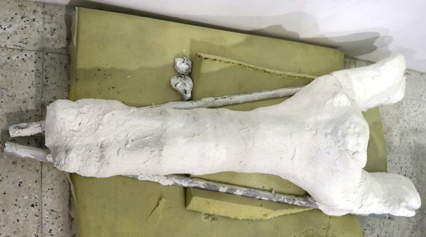 Kayseri'de 7.5 milyon yıllık fil fosili bulundu