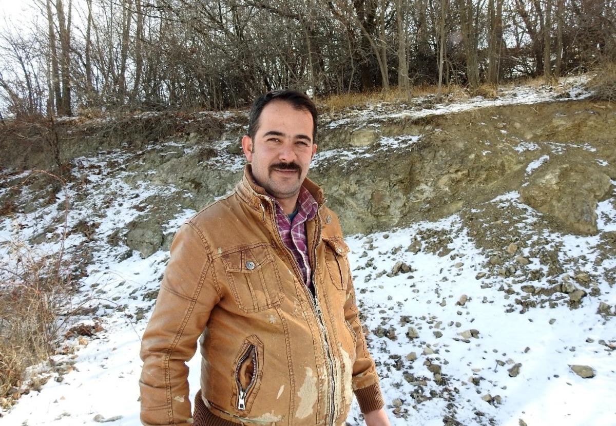 Kırmızı listedeki vaşak Erzincan&rsquo;da g&ouml;r&uuml;nt&uuml;lendi