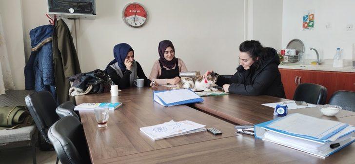 Öğretmenlerin bitkin halde bulduğu kedi iyileşti, okulun maskotu oldu G4