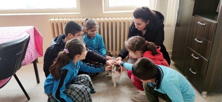 Öğretmenlerin bitkin halde bulduğu kedi iyileşti, okulun maskotu oldu G5