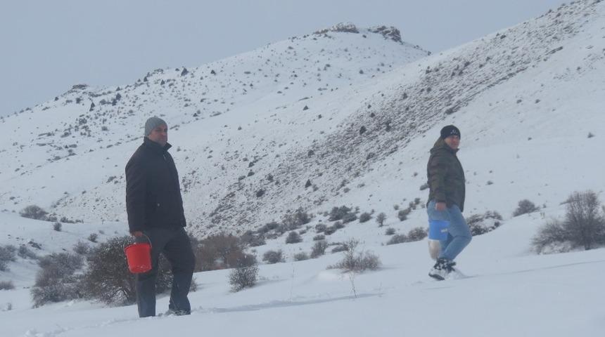 Bayburt DKMP yaban hayvanlarını unutmuyor