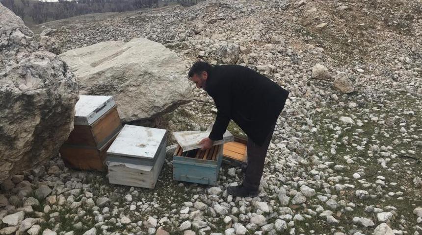 Adıyaman&rsquo;da 16 adet arılı kovan &ccedil;alındı
