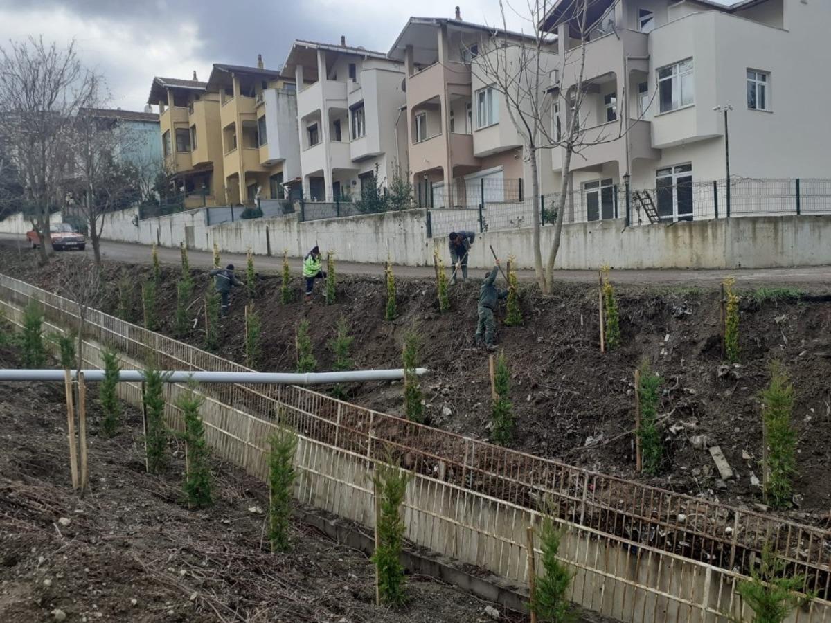 G&ouml;lc&uuml;k&rsquo;te vatandaş talep etti, &ccedil;evre d&uuml;zenlemesi yapıldı