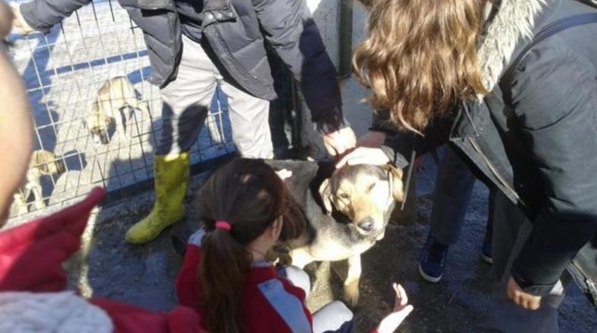 Taşk&ouml;pr&uuml;&rsquo;de &ouml;ğrenciler, hayvan barınağını ziyaret etti