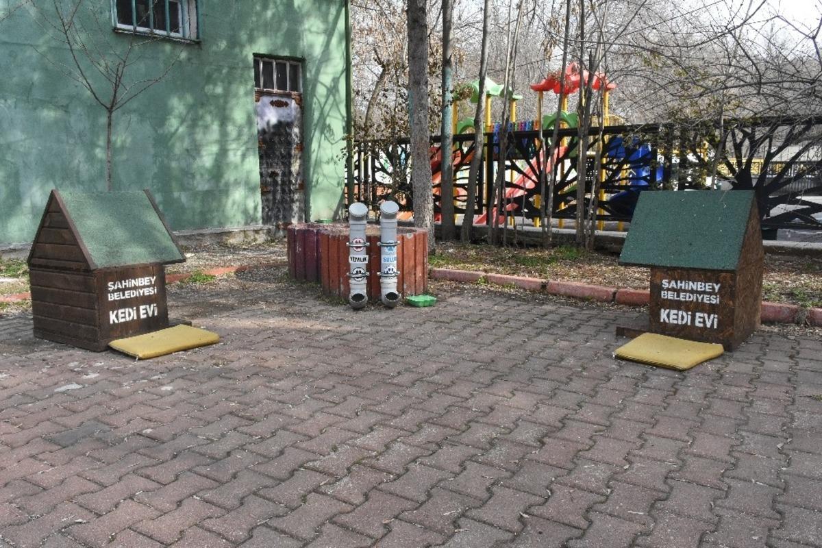 Şahinbey Belediyesi sokak hayvanlarına sahip &ccedil;ıkıyor