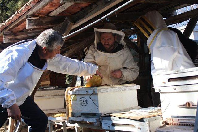 Kovadan Sofraya Bal Eğitimi 1