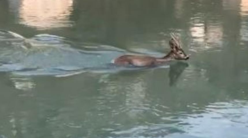 Su i&ccedil;mek istemişti, baraj g&ouml;l&uuml;ne d&uuml;şt&uuml;