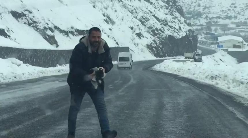 Donmak &uuml;zere olan kedi kurtarıldı