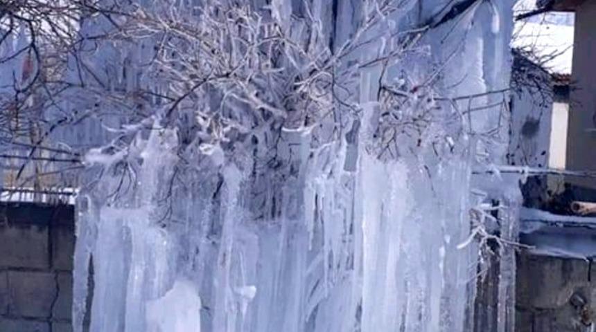 Buz tutan ağacı g&ouml;ren vatandaşlar şaşkınlığını gizleyemedi