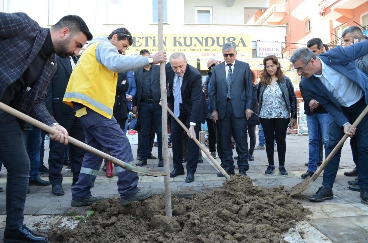 Didim Belediyesi&rsquo;nden yeni peyzaj &ccedil;alışması i&ccedil;in ilk adım