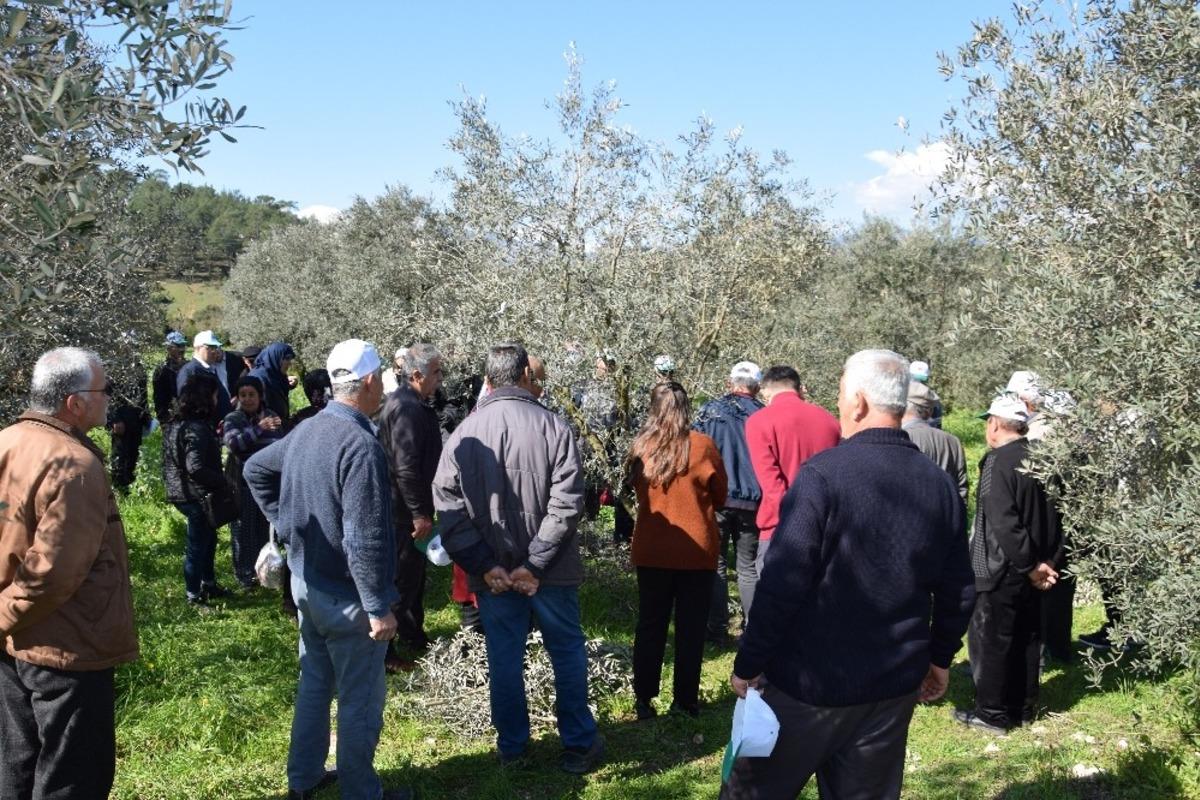 &Ccedil;ift&ccedil;ilere uygulamalı budama eğitimi