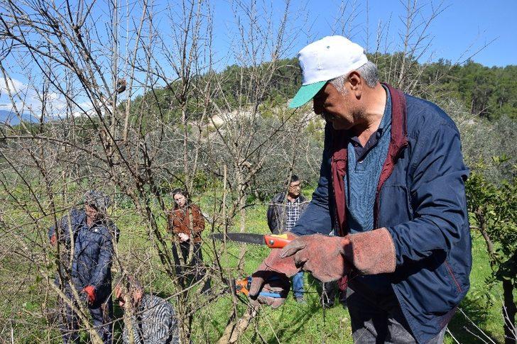 Çiftçilere uygulamalı budama eğitimi G3