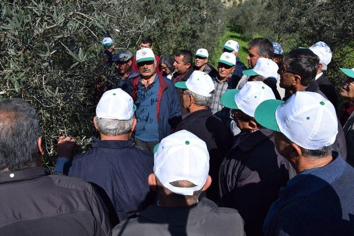 Çiftçilere uygulamalı budama eğitimi G5