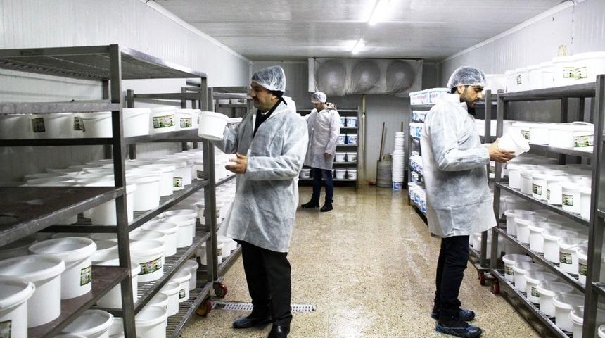 Van&rsquo;da gıda denetimi seferberliği