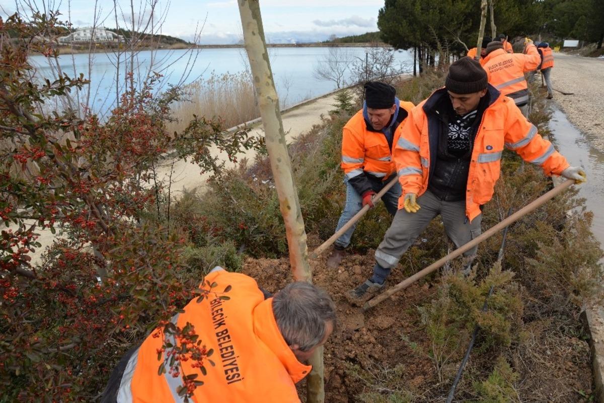 Bilecik&rsquo;te y&uuml;zlerce ağa&ccedil; ve bitki toprakla buluştu