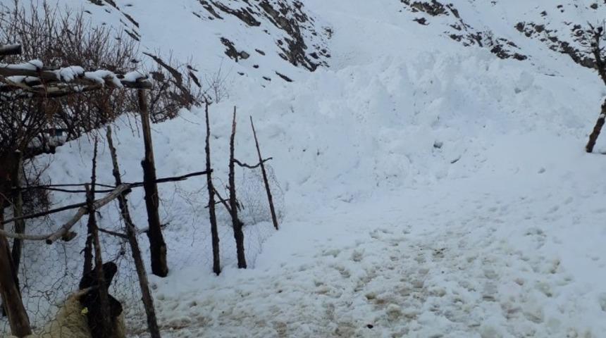 Hakkari&rsquo;de inen &ccedil;ığ ahırı teğet ge&ccedil;ti