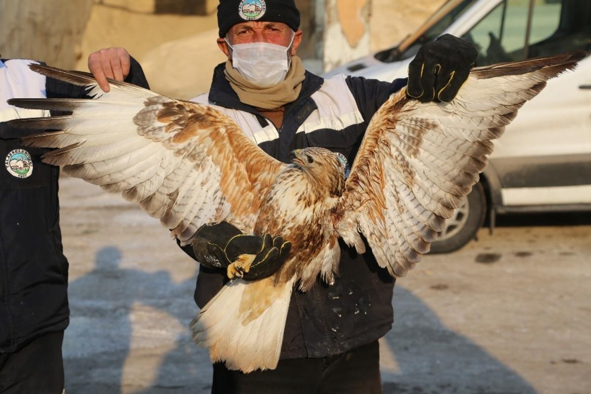 Yaralı Doğan&rsquo;a Talas Belediyesi Sahip &Ccedil;ıktı