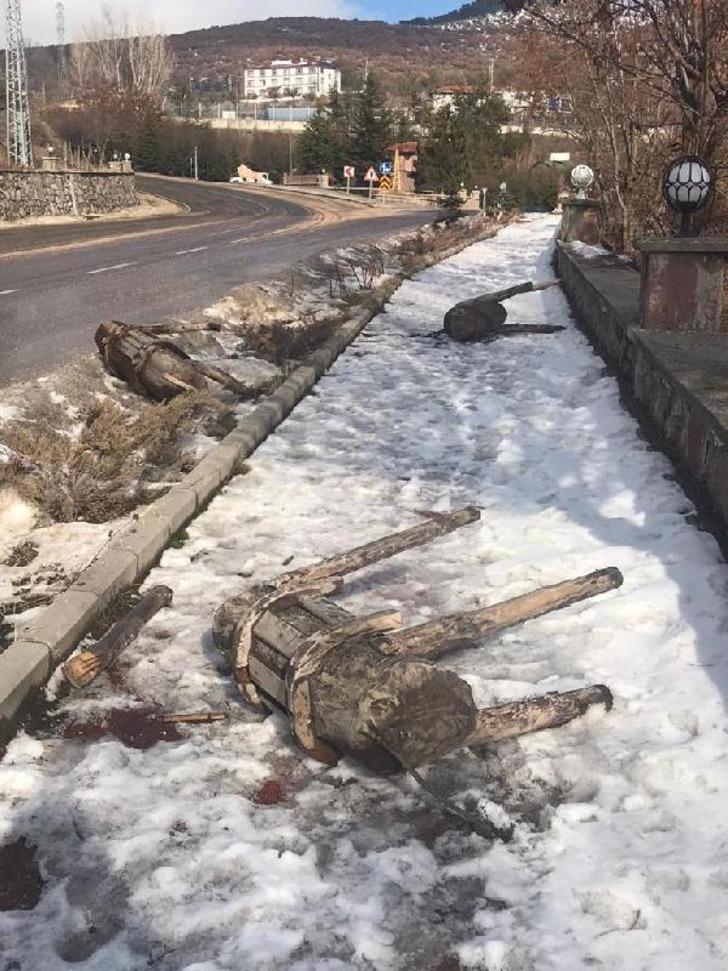 Hayvan heykellerine saldırmışlardı! Görüntüler ortaya çıktı G2