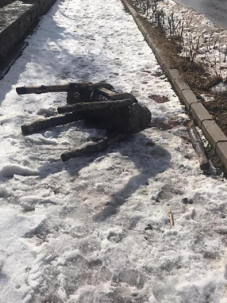 Hayvan heykellerine saldırmışlardı! Görüntüler ortaya çıktı G3