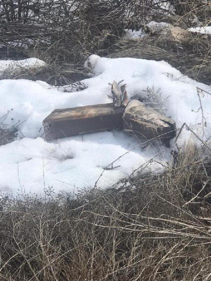 Hayvan heykellerine saldırmışlardı! Görüntüler ortaya çıktı G4