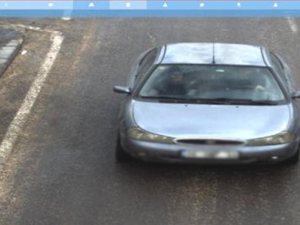 Hayvan heykellerine saldırmışlardı! G&ouml;r&uuml;nt&uuml;ler ortaya &ccedil;ıktı