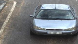 Hayvan heykellerine saldırmışlardı! Görüntüler ortaya çıktı