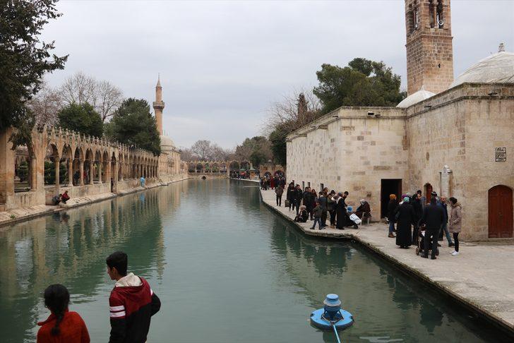 Şanlurfa şimdiden 'bahar bereketi'ni yaşıyor G1
