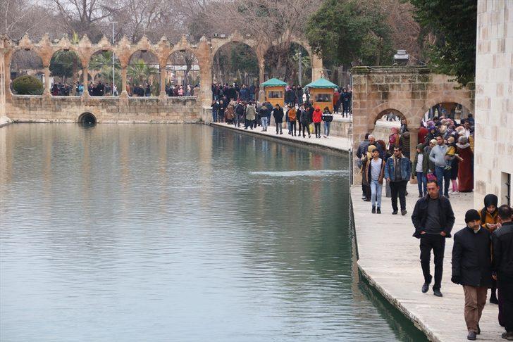 Şanlurfa şimdiden 'bahar bereketi'ni yaşıyor G2