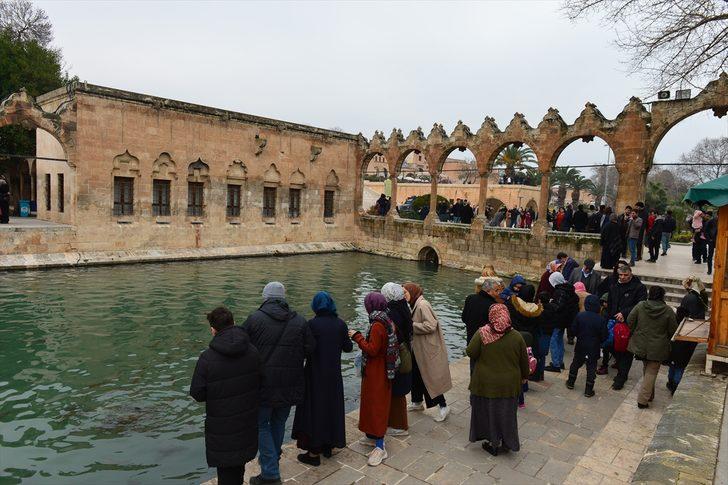 Şanlurfa şimdiden 'bahar bereketi'ni yaşıyor G5